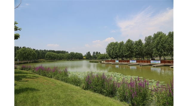 標(biāo)題：包頭市民公園
瀏覽次數(shù)：1545
發(fā)表時(shí)間：2020-10-16