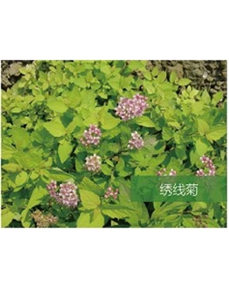 標題：喬灌木
瀏覽次數(shù)：1437
發(fā)表時間：2020-10-17